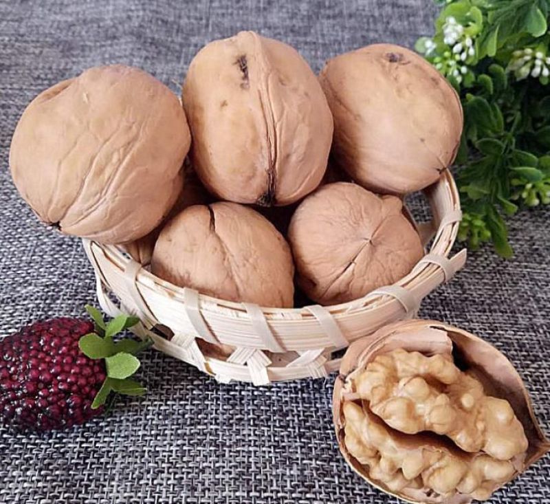 薄皮核桃新疆核桃185核桃厂家批发直供价格实惠