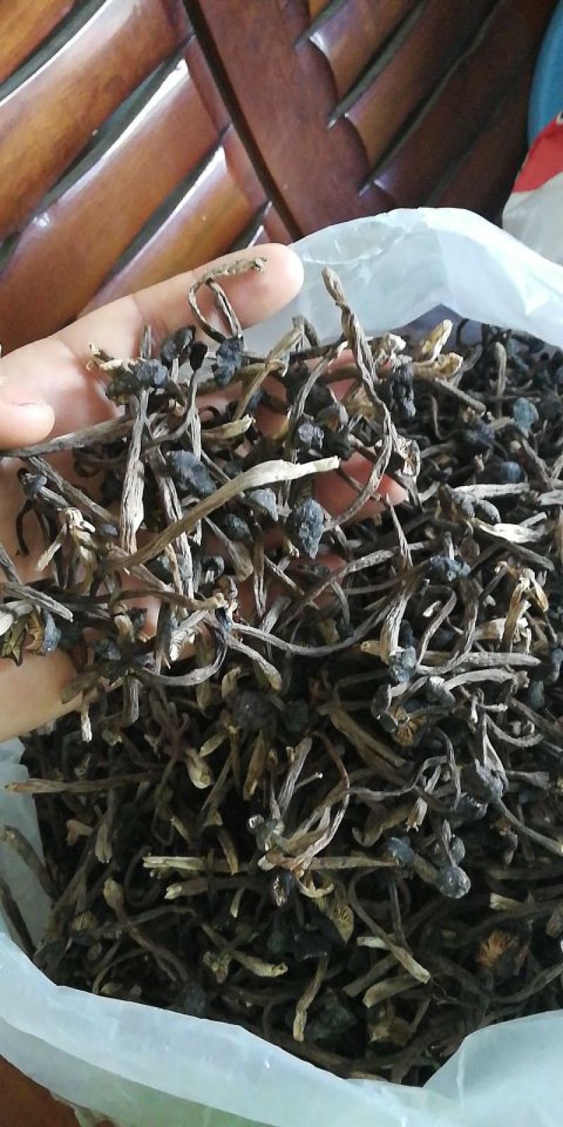 黑皮鸡枞菌干品，通货