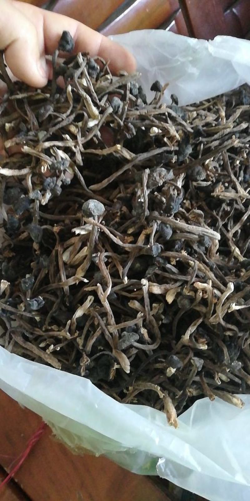黑皮鸡枞菌干品，通货