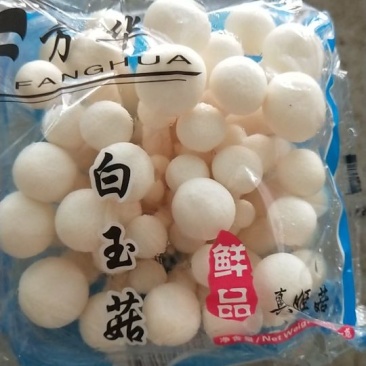 白玉菇