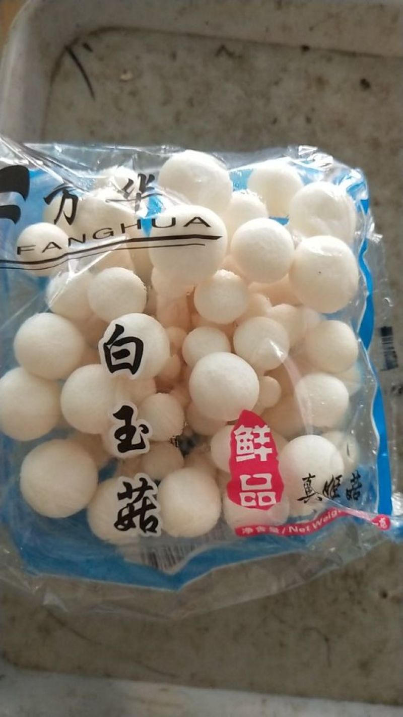 白玉菇