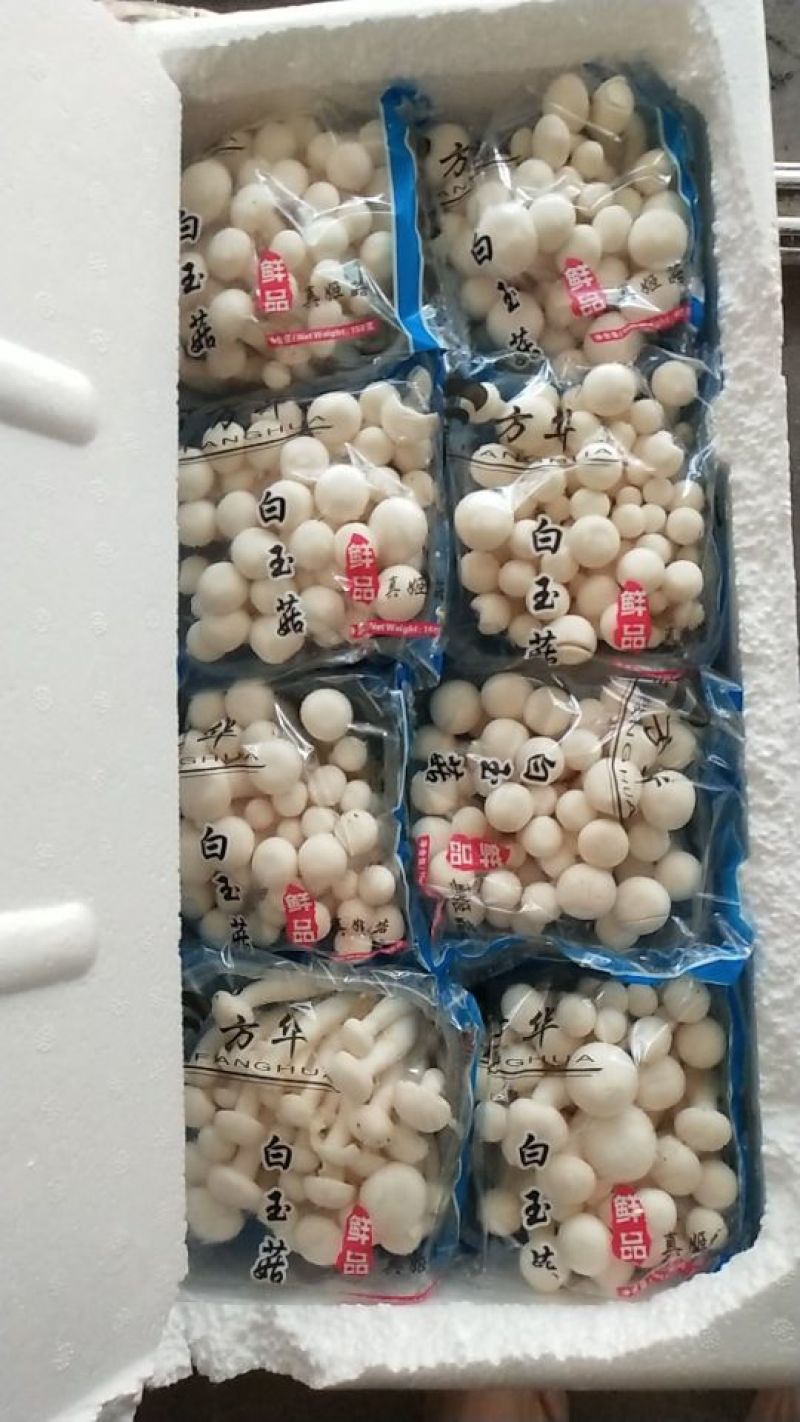 白玉菇