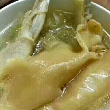 35头黄花胶