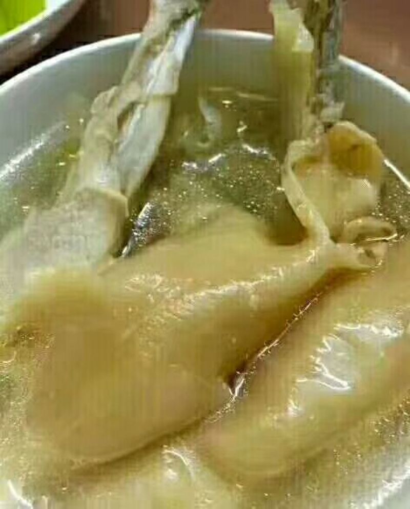 35头黄花胶