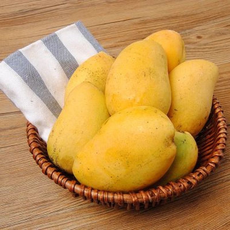 小台芒