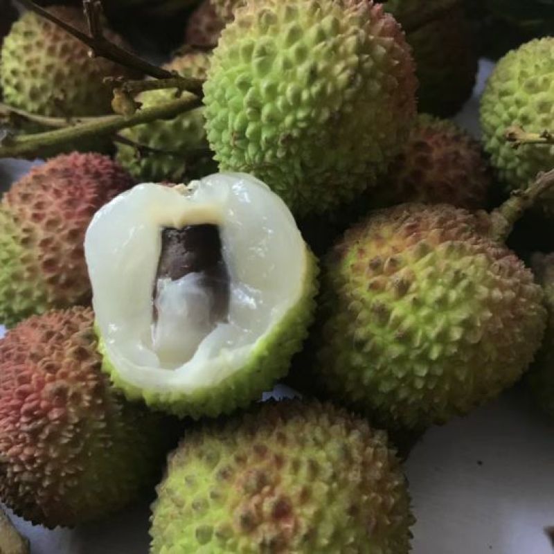 妃子白糖罂笑荔枝产地直收，直收，欢迎全国各地老板来收购