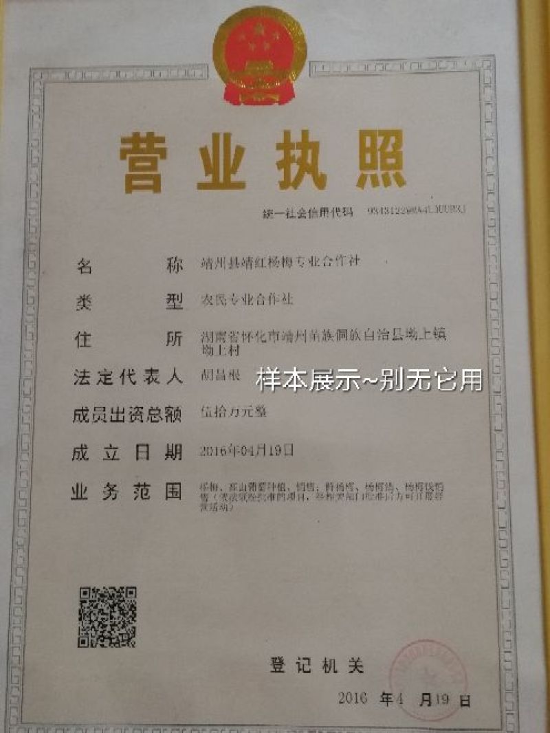 常年供应杨梅果树，杯苗，绿化工程树