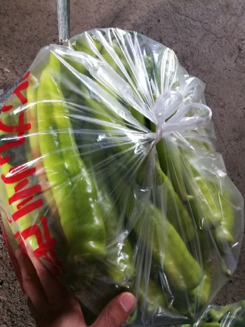 鲜辣椒线椒黄皮尖椒泡椒黑皮椒