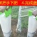 果树蔬菜地下深层施肥器一人操作