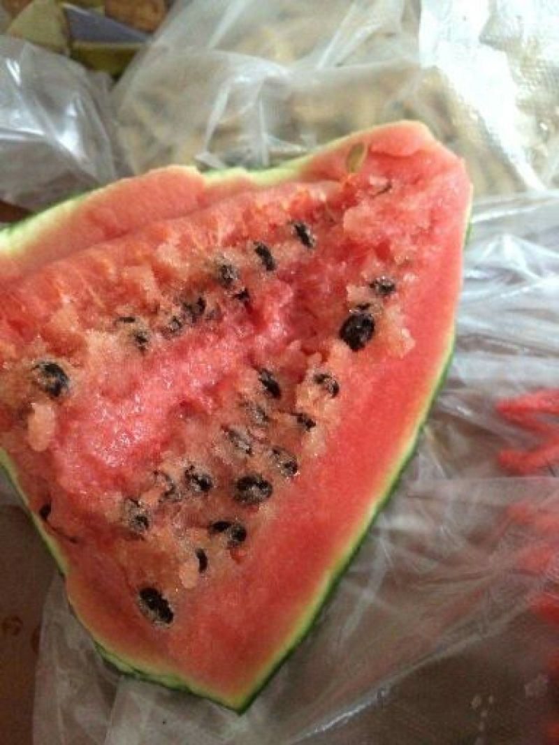 精品美都麒麟西瓜大量上市中