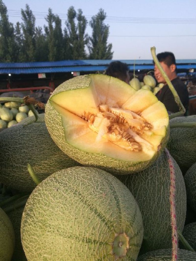 晓蜜25号，支持一件代发，对接各大电商微商团购