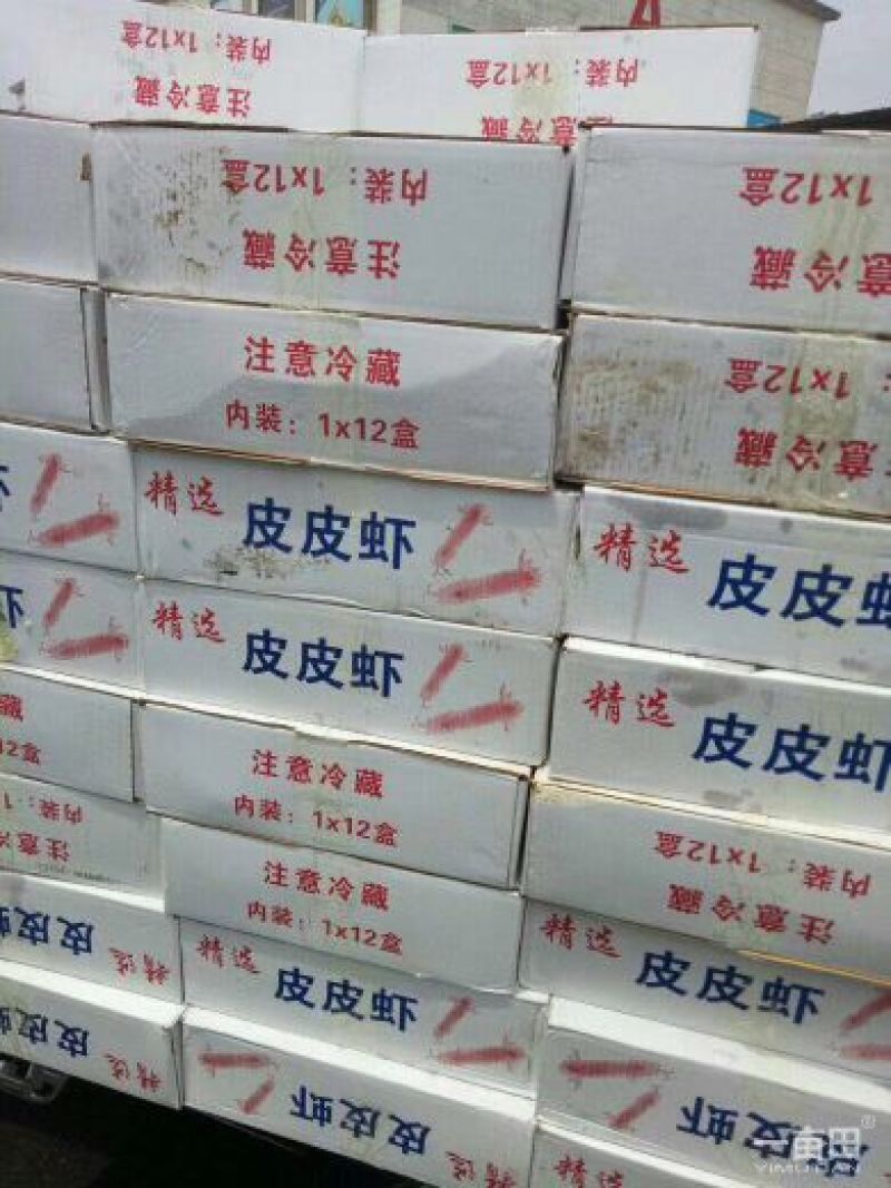 皮皮虾