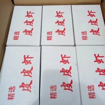 皮皮虾