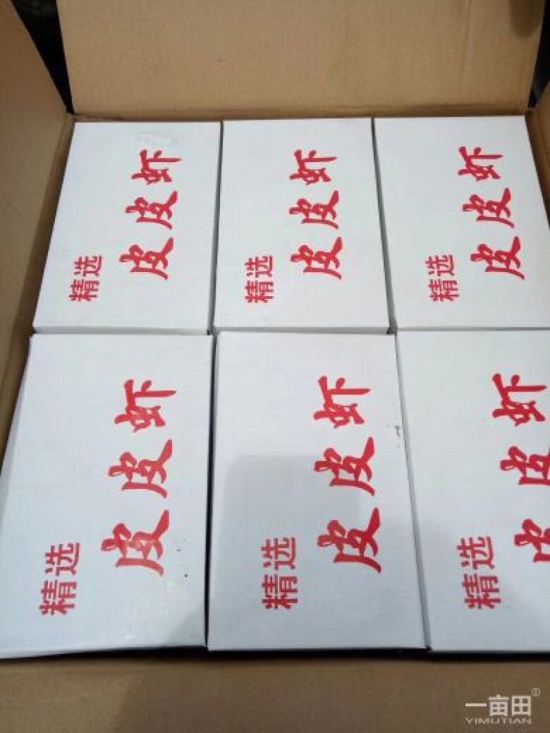 皮皮虾