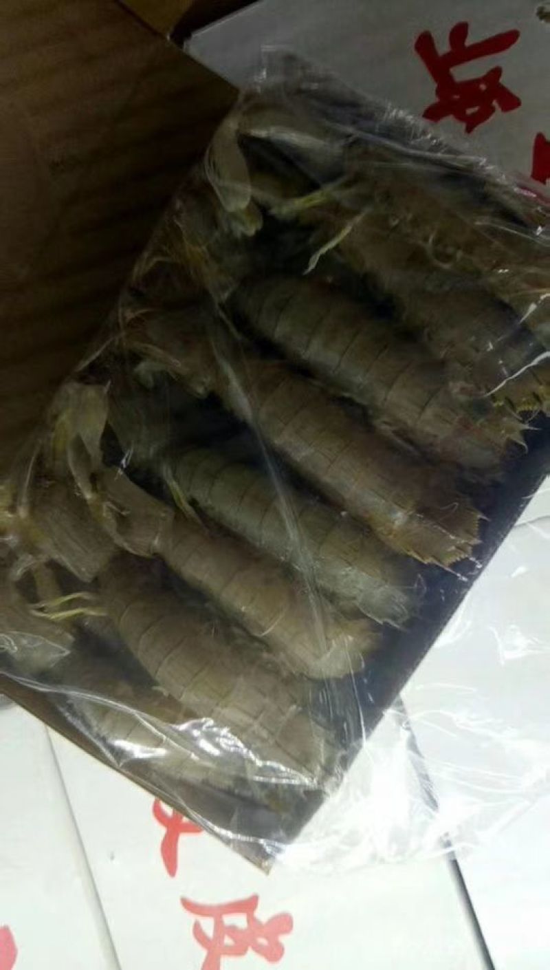 皮皮虾