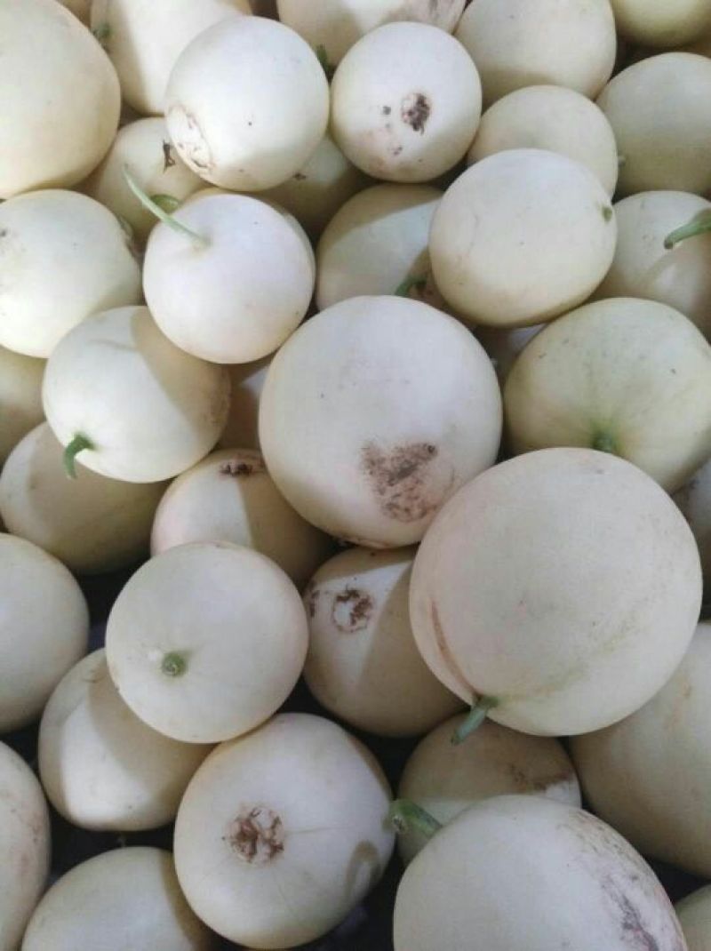 东方蜜