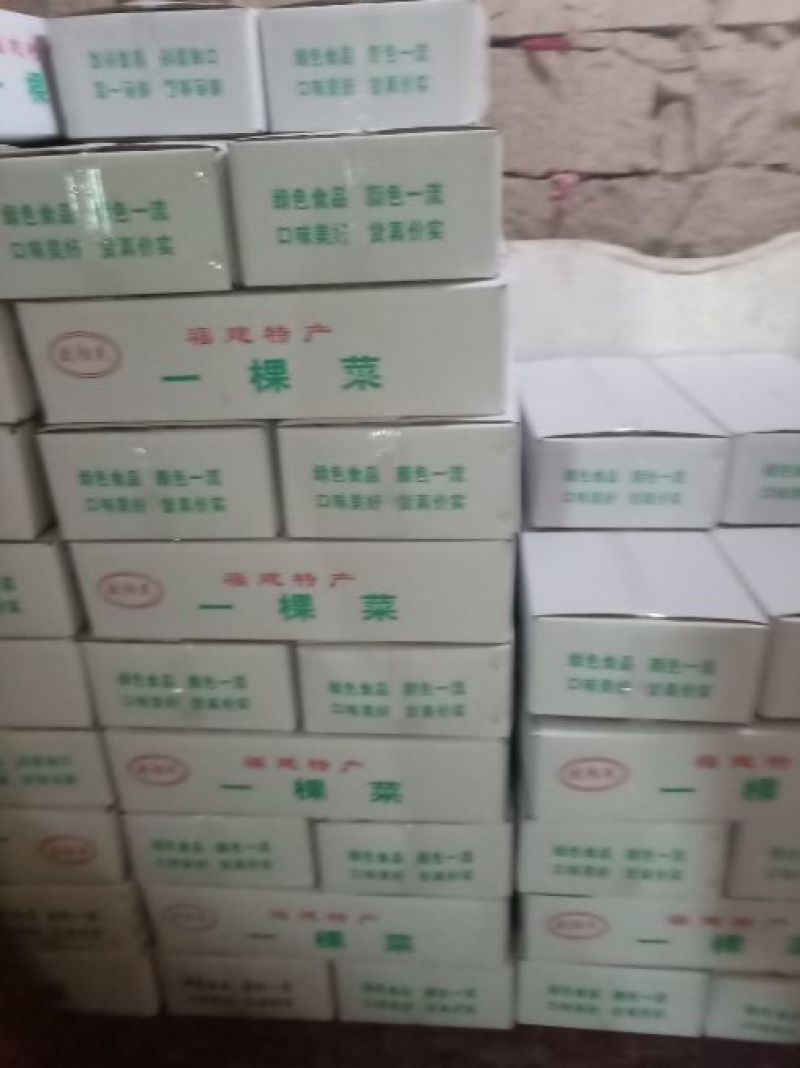 一棵菜