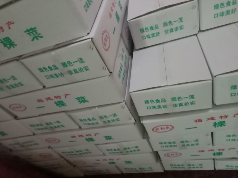 一棵菜