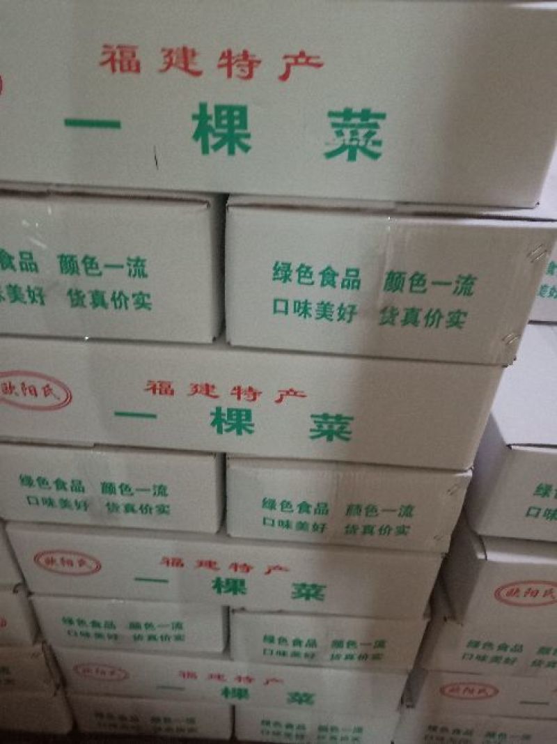 一棵菜