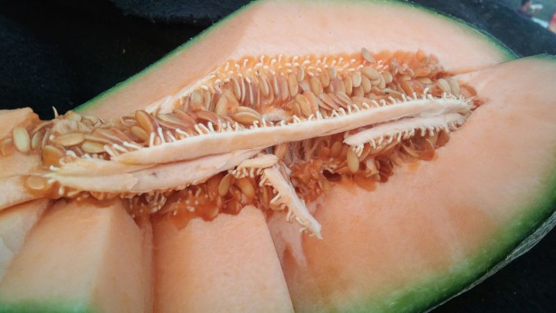玉姑