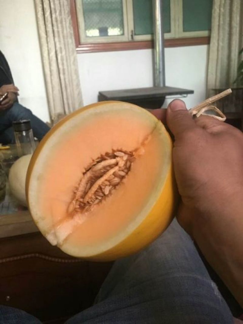 黄皮红肉大量上市