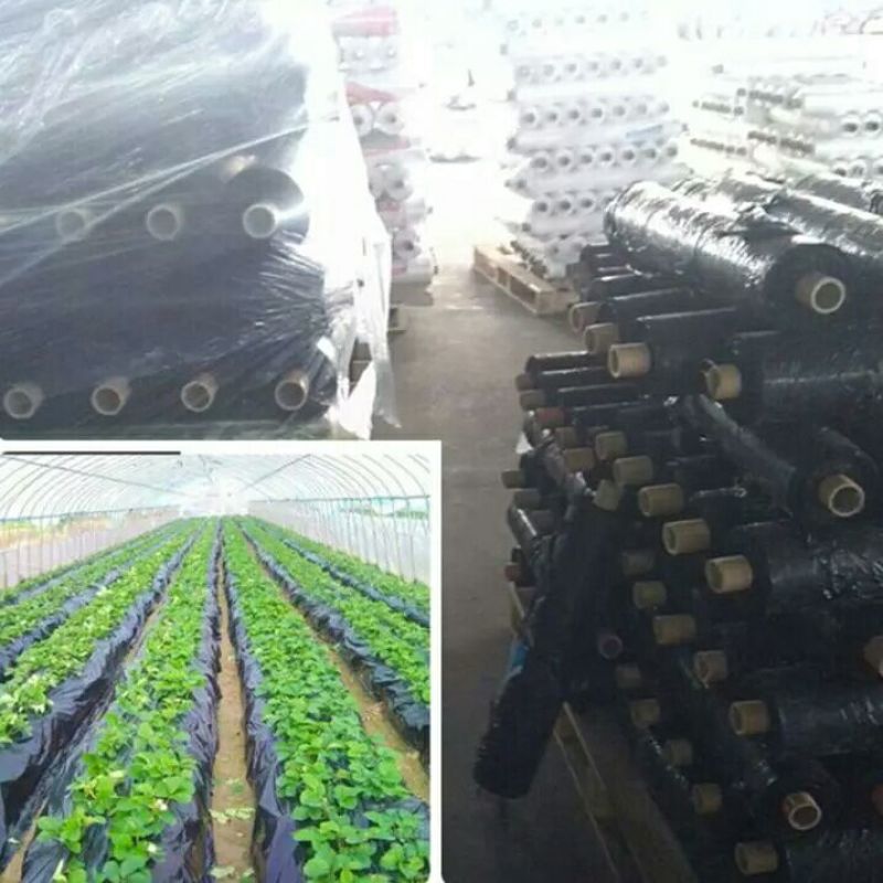 地膜黑膜除草防草专用耐用0.6到2米