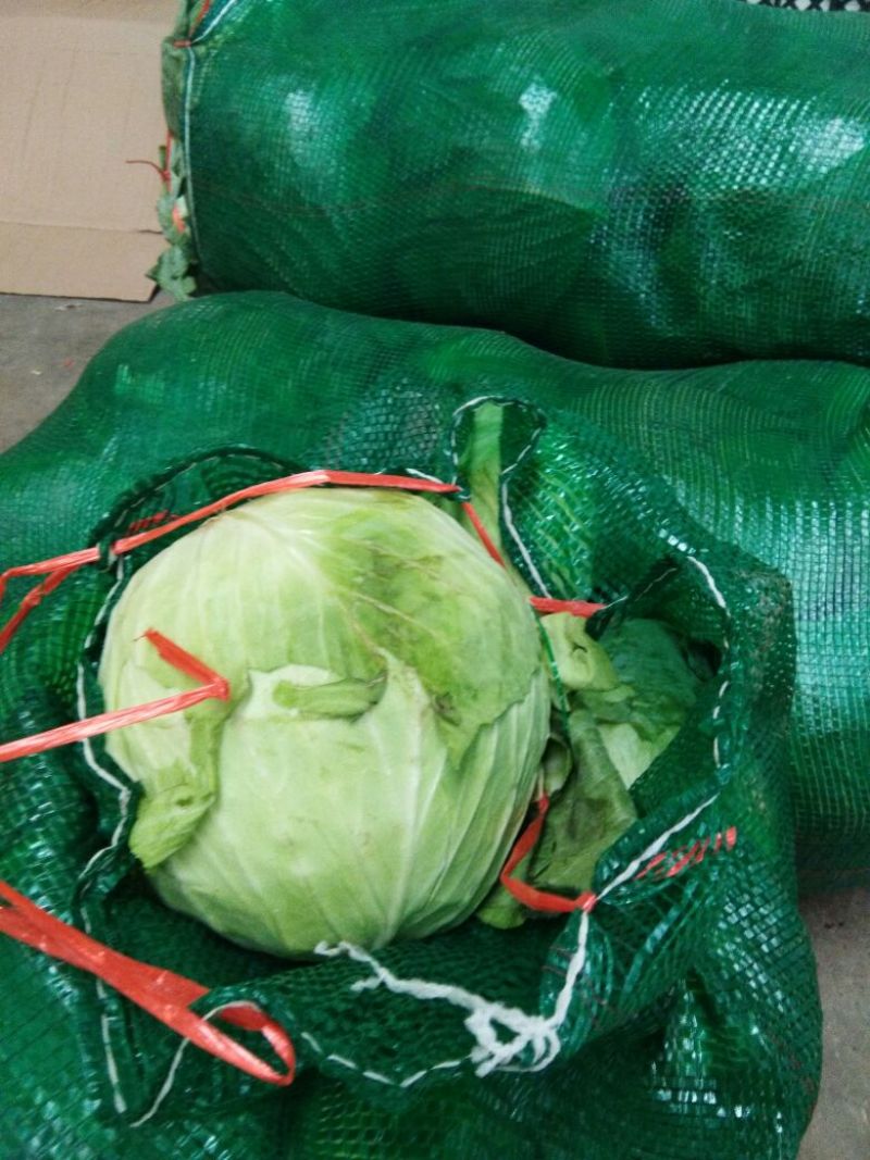 墨玉50甘兰通货1~2公斤，现已大量上市，可视频看货