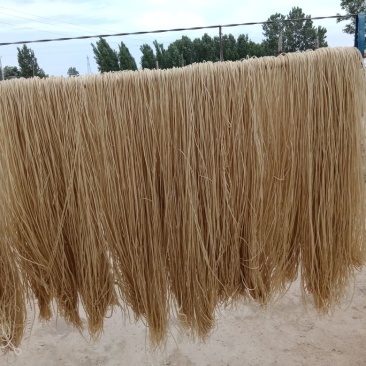 木薯粉条