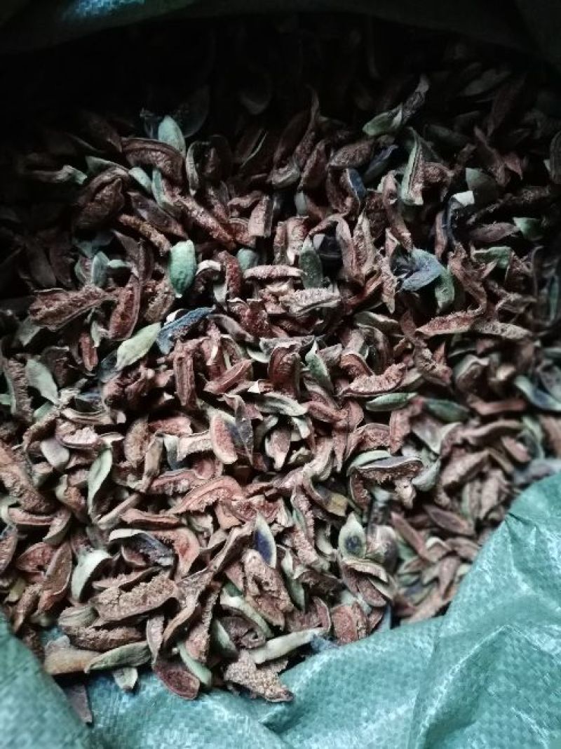 王不留行