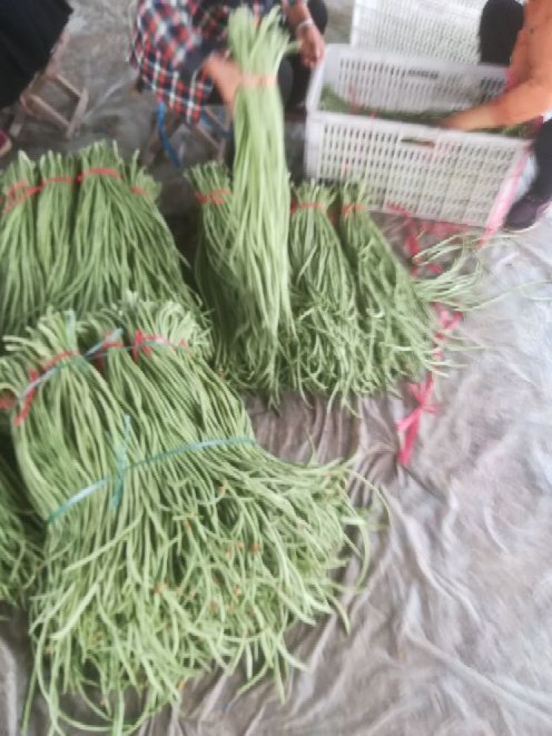 长豆角