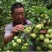 李子干