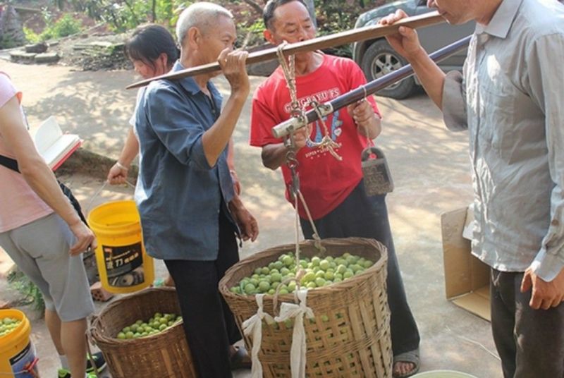李子干