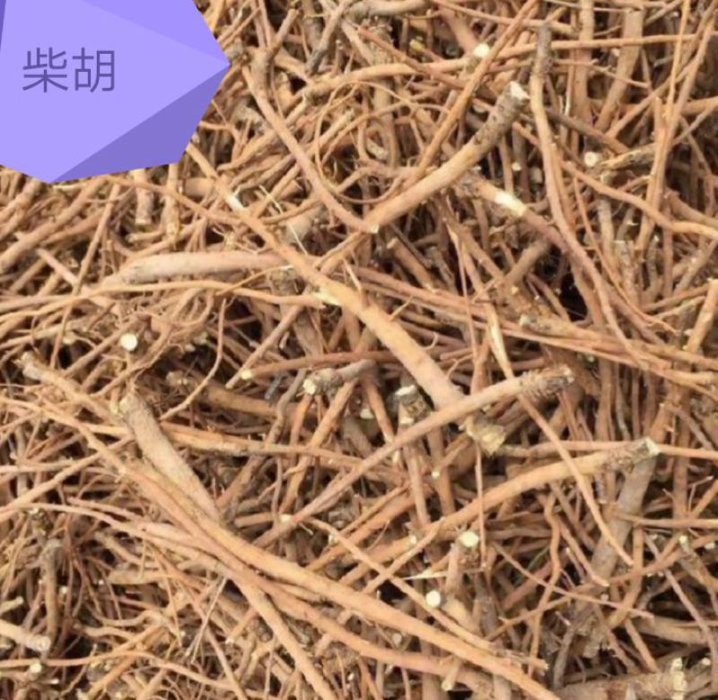 北柴胡，野生柴胡，新品，干货，全国包邮。