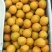 金太阳杏精品金黄发亮色彩名利