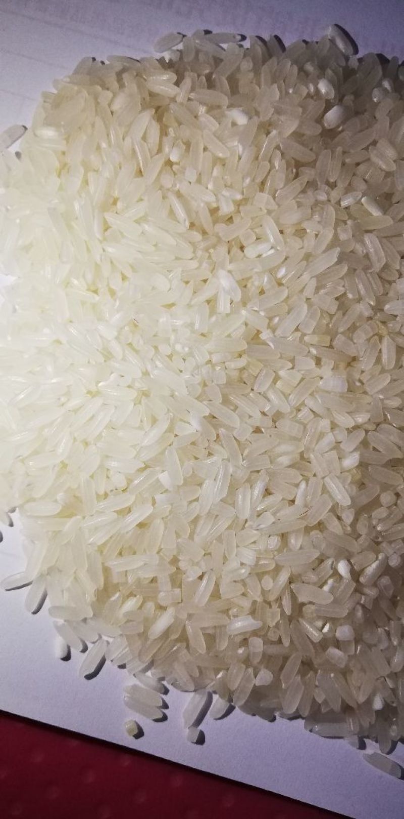 青冬小香软米