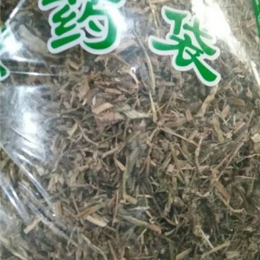 鸭跖草