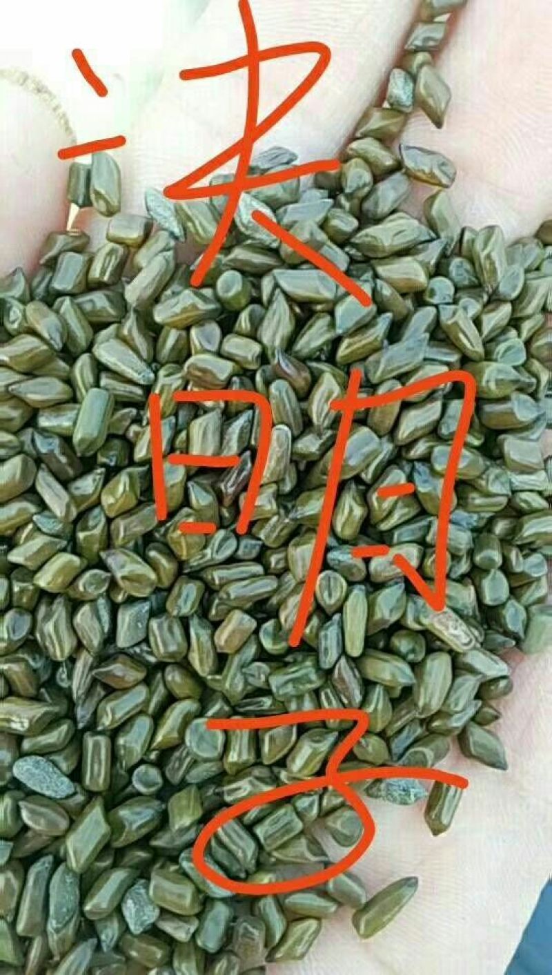 决明子，苍耳子，亚麻籽，冬瓜子，黄瓜籽。