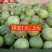 新乐市大棚甜瓜4月20号上市需要的联系我随到随装车