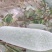 重庆本地小米冬瓜，白皮冬瓜，重约3公斤到4.5公斤，