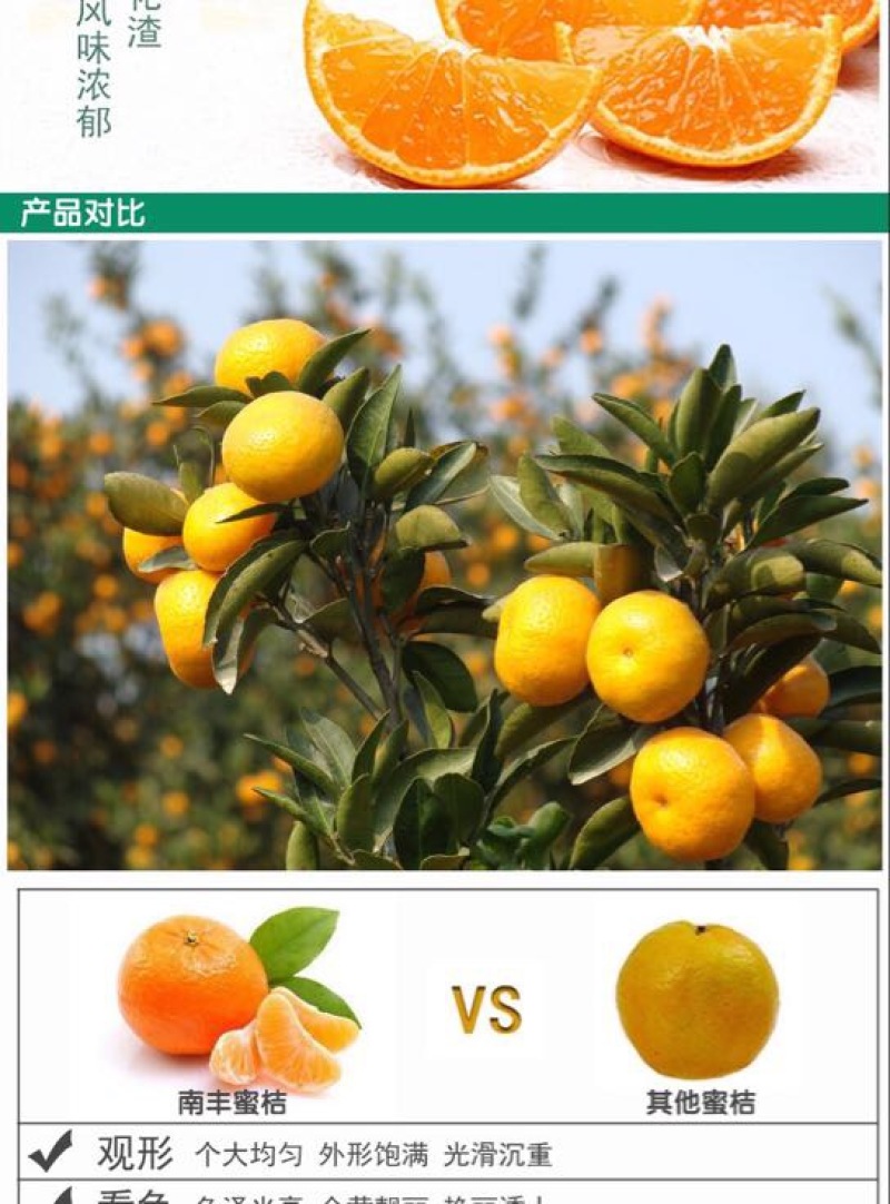 南丰蜜橘3.0Cmcm口感好，表面光滑，质量好
