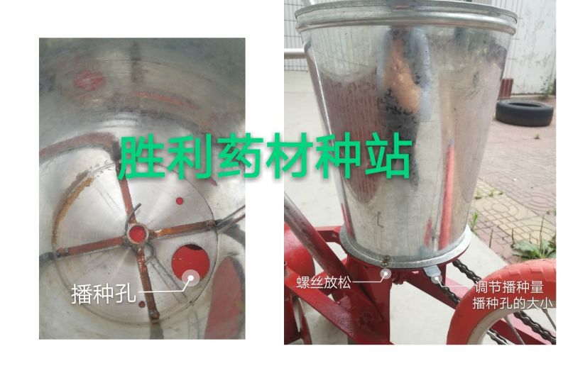 播种机一行