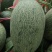 玉姑，红帅，25，