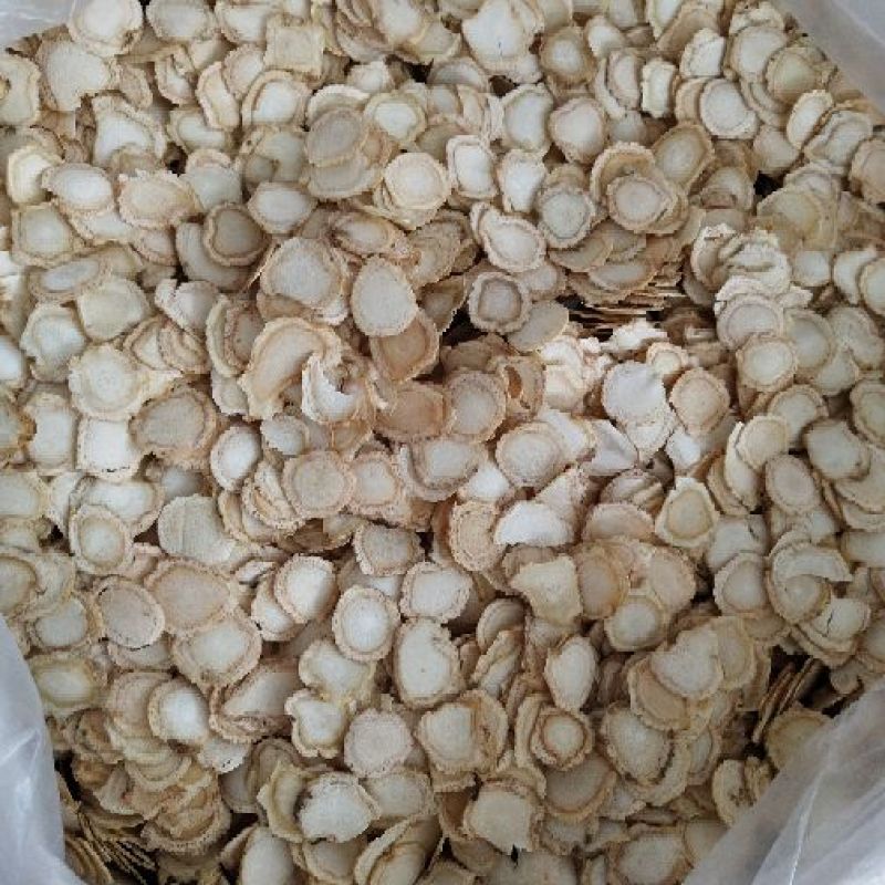 西洋参片