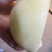 翠冠梨