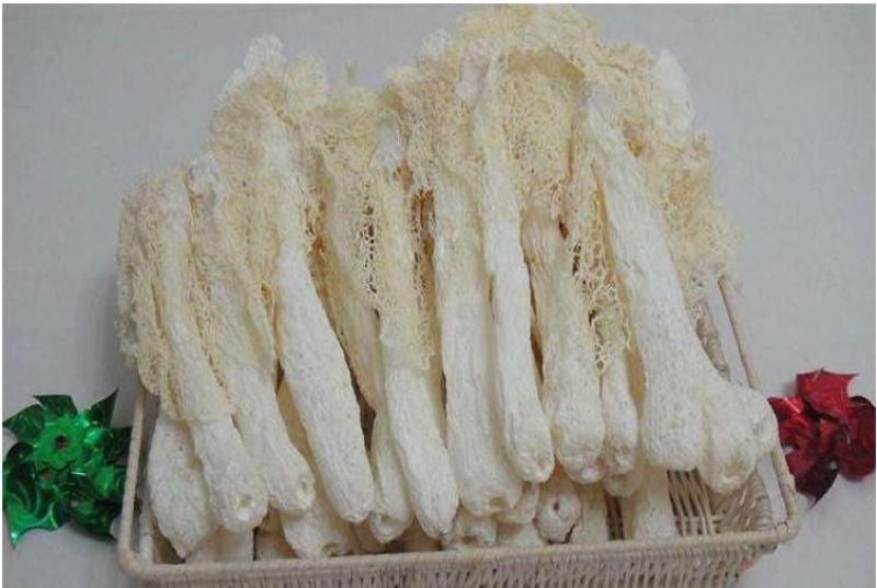 竹荪干货一件代发