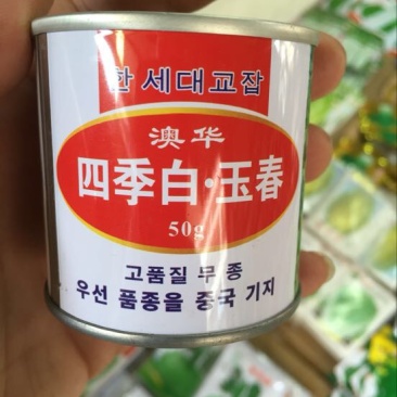 春白玉萝卜种子
