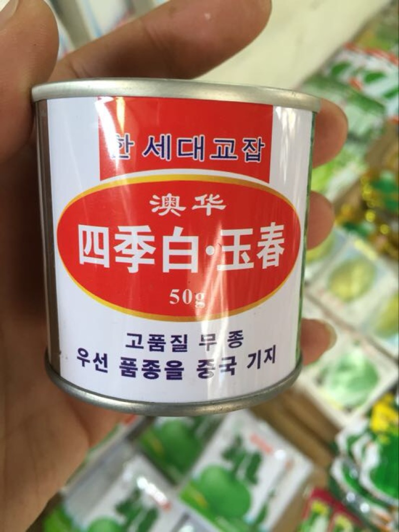 春白玉萝卜种子