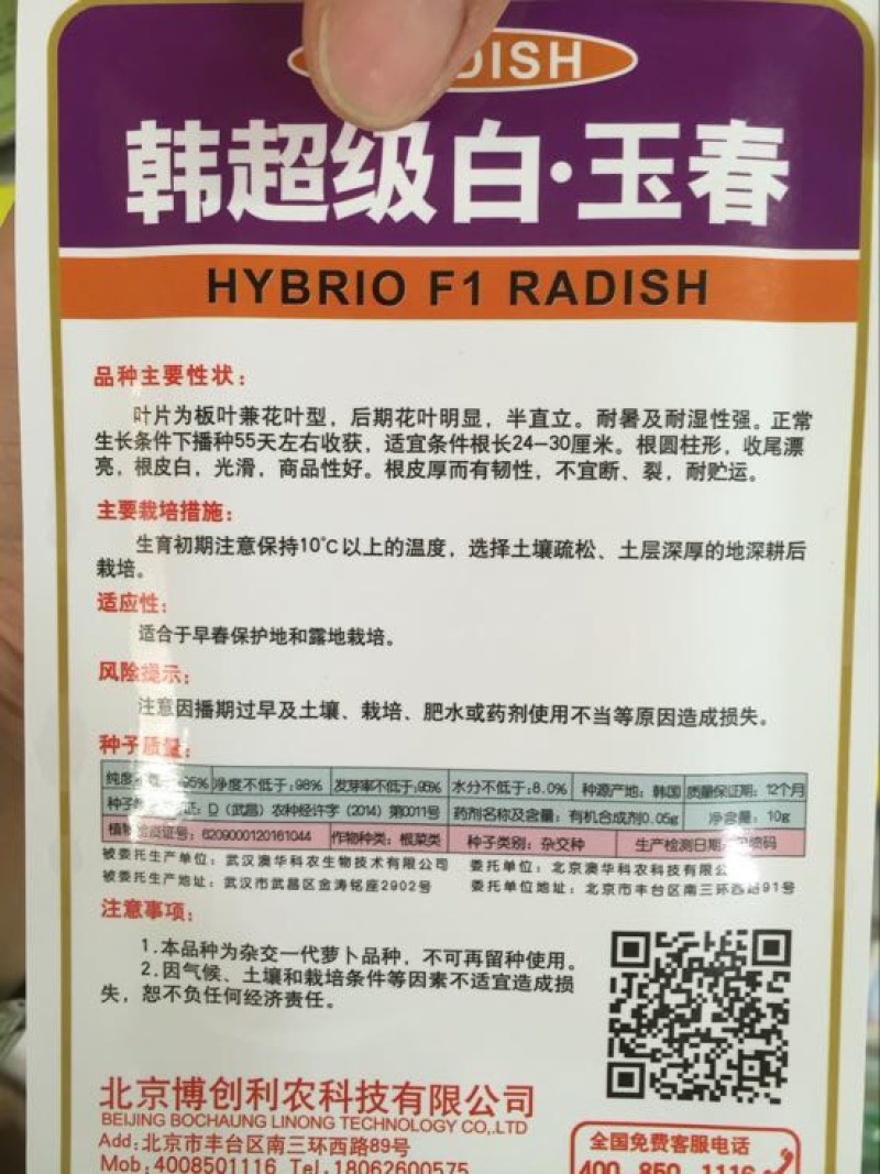 春白玉萝卜种子