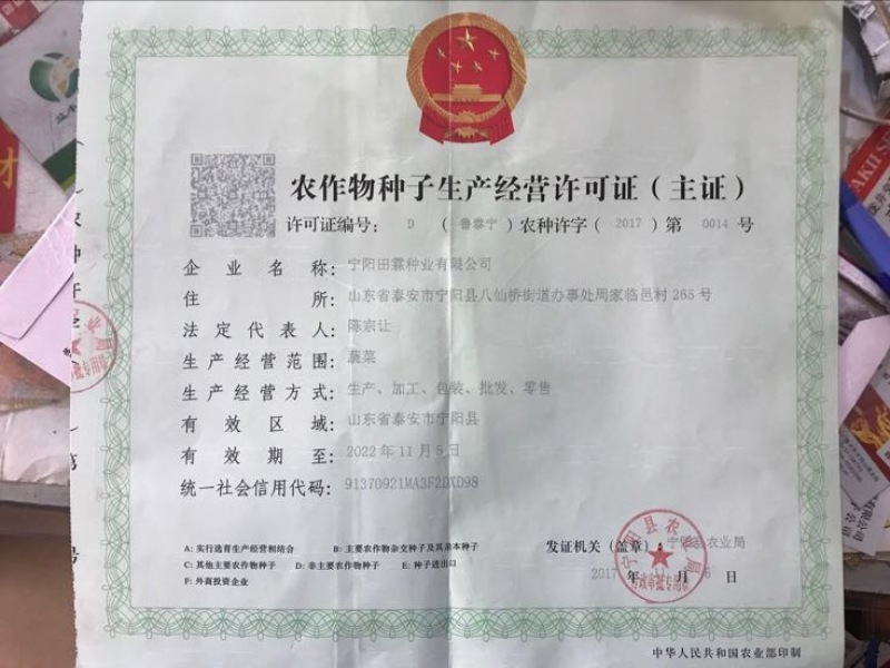 茄子种子