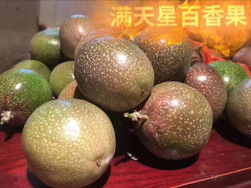 百香果苗10~20cm